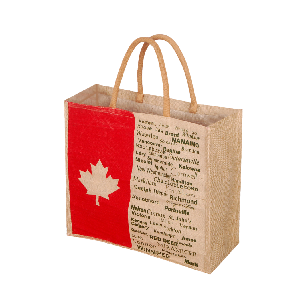 Eco-Friendly Customized Sopping Bag